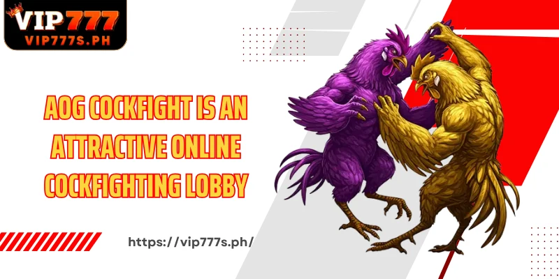 AOG Cockfight is an attractive online cockfighting lobby