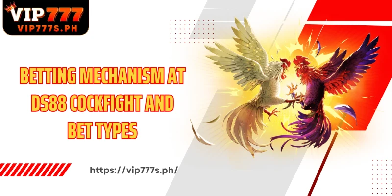 Betting mechanism at DS88 Cockfight and bet types
