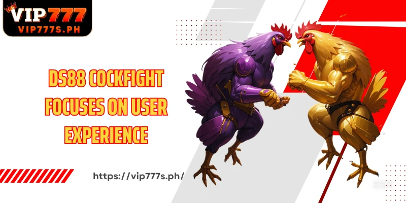 DS88 Cockfight focuses on user experience