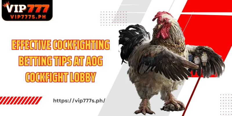 Effective cockfighting betting tips at AOG Cockfight lobby
