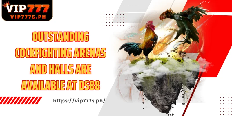 Outstanding cockfighting arenas and halls are available at DS88