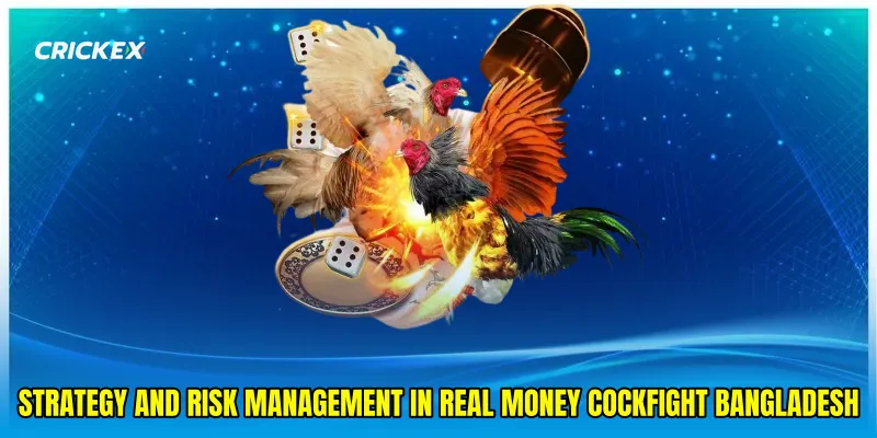 Strategy and Risk Management in Real money cockfight Bangladesh